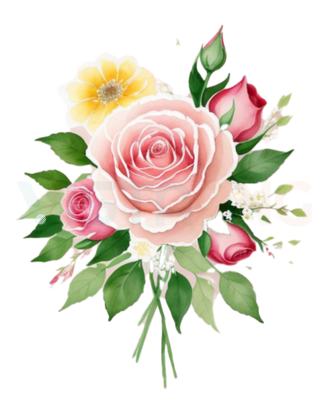 Free Watercolor Rose Bouquet PNG – Transparent Background Floral Clipart